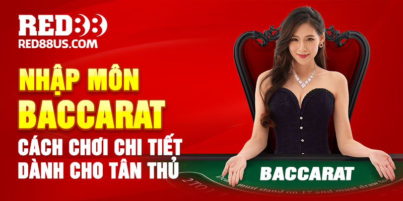 Nhập Môn Baccarat