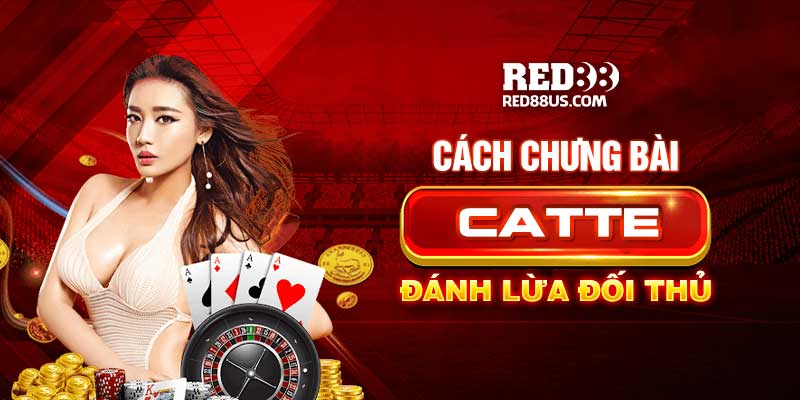 Cách Chưng Bài Catte Đánh Lừa Đối Thủ Trên Bàn Cược