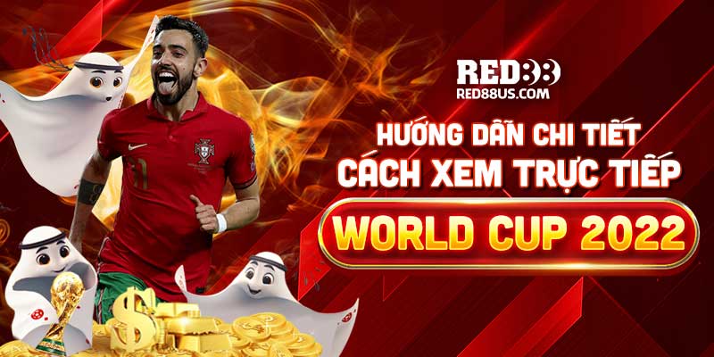 Hướng Dẫn Chi Tiết Cách Xem Trực Tiếp World Cup 2022