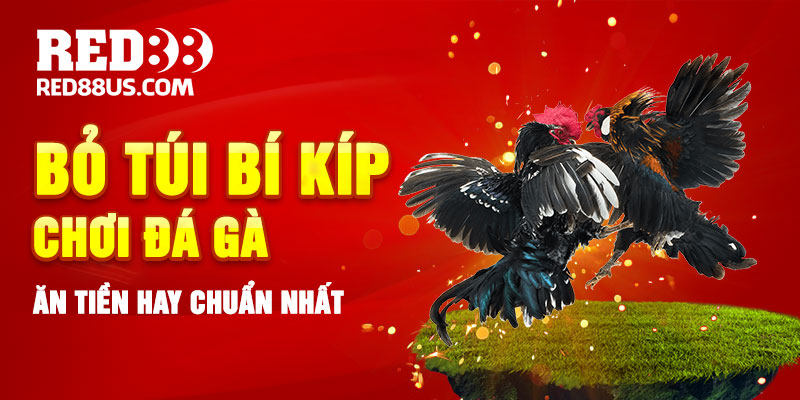 Bỏ Túi Bí Kíp Chơi Đá Gà Ăn Tiền Hay Chuẩn Nhất