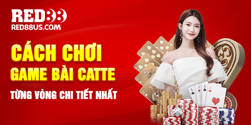 Cách Chơi Game Bài Catte Từng Vòng Chi Tiết Nhất