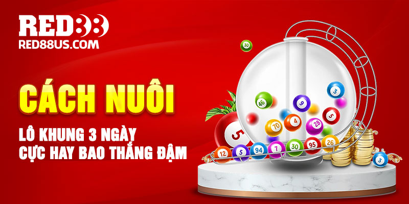 Cách Nuôi Lô Khung 3 Ngày Cực Hay Bao Thắng Đậm