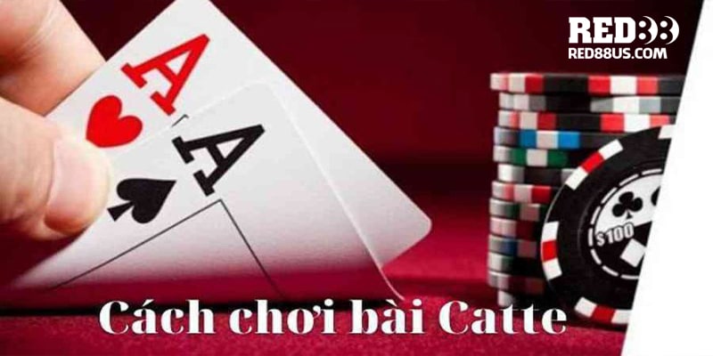 Tuyệt chiêu đánh bài Catte và đôi nét cơ bản về game bài này