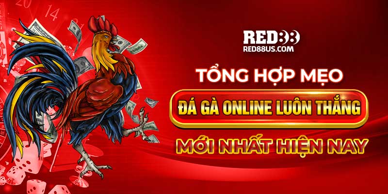 Tổng Hợp Mẹo Đá Gà Online Luôn Thắng Mới Nhất