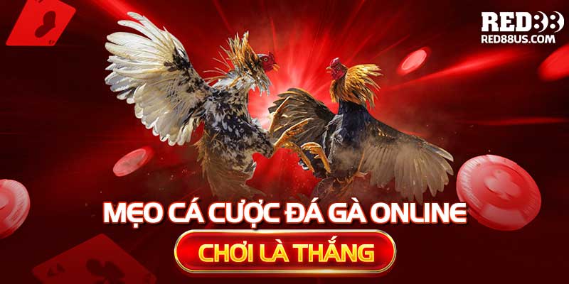 Mẹo Cá Cược Đá Gà Online Chơi Là Thắng