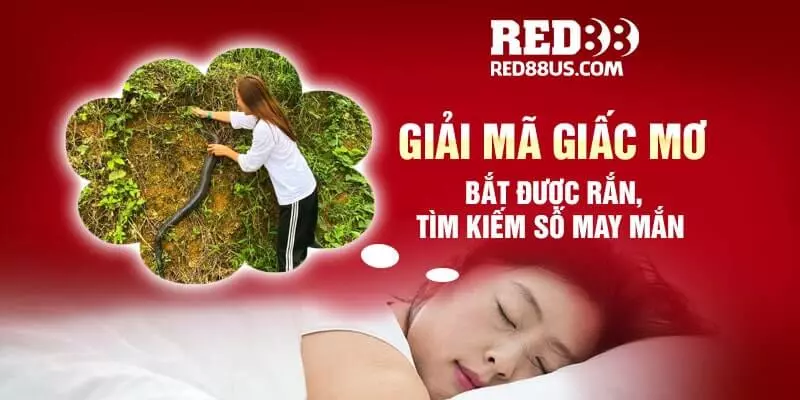 Giải Mã Giấc Mơ Bắt Được Rắn