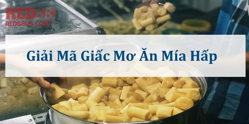 Chiêm bao ăn mía hấp là tín hiệu tuyệt vời 