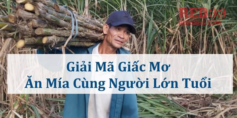 Ăn mía cùng người lớn tuổi là chiêm bao tốt