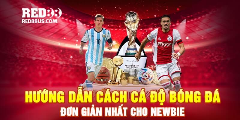 Hướng Dẫn Cách Cá Độ Bóng Đá Đơn Giản Nhất Cho Newbie 