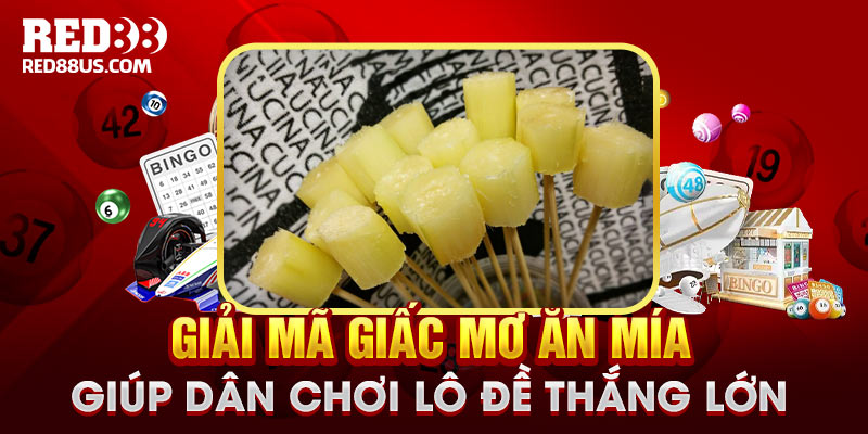 Giải Mã Giấc Mơ Ăn Mía Giúp Dân Chơi Lô Đề Thắng Lớn