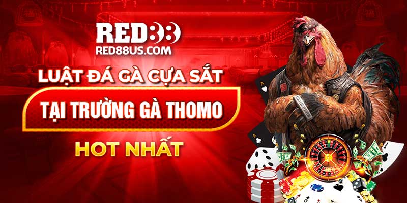 Luật Đá Gà Cựa Sắt Tại Trường Gà Thomo Hot Nhất Hiện Nay