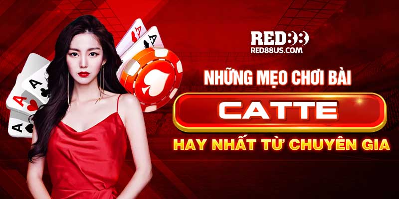 mẹo chơi bài catte