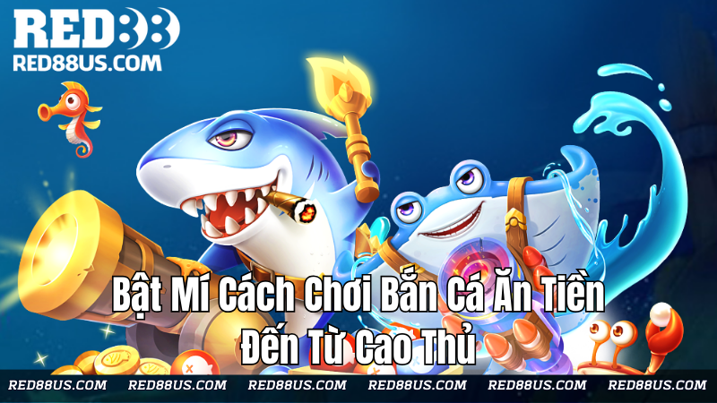 cach-choi-ban-ca-an-tien